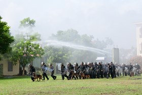 Cao điểm tấn công, trấn áp tội phạm: Phá 4 chuyên án ma túy, bắt 2 đối tượng truy nã