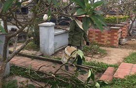 Công an huyện Vĩnh Bảo: Khẩn trương truy bắt kẻ đập phá mộ tại nghĩa trang Hà Phương 