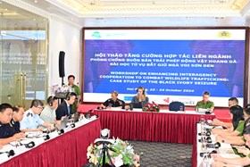 Tăng cường hợp tác liên ngành phòng chống buôn bán trái phép động vật hoang dã