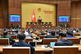 Những quy định mới trong nguyên tắc phòng, chống mua bán người