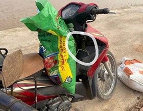 Công an xã Tuệ Tĩnh khuyến cáo nhân dân cảnh giác bảo vệ tài sản trong mùa thu hoạch nông sản