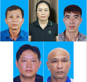 Thông tin về vụ vận chuyển, mua bán hơn 130 tấn thịt lợn dương tính với virus dịch Tả lợn Châu Phi 