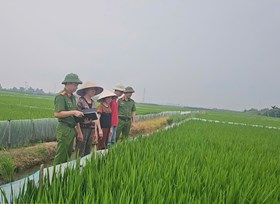 Phòng Cảnh sát Hình sự: Tiếp tục cảnh báo về việc người dân tự ý giăng điện bẫy chuột dẫn đến hậu quả chết người