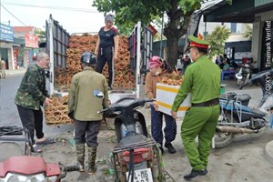 Công an xã Thanh Hà: tăng cường giải quyết trật tự công cộng, hỗ trợ Nhân dân tiêu thụ nông sản trong mùa thu hoạch vải quả
