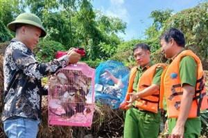 Công an xã Vĩnh Thuận: Thả 35 cá thể chim hoang dã về môi trường tự nhiên tại Đảo Cò
