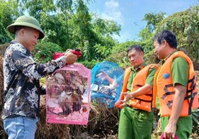 Công an xã Vĩnh Thuận: Thả 35 cá thể chim hoang dã về môi trường tự nhiên tại Đảo Cò