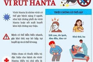 Thông tin và khuyến cáo các biện pháp phòng chống bệnh do virucs Hanta