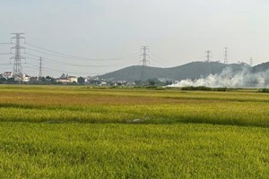 Công an phường Trần Nhân Tông khuyến cáo không đốt rơm rạ sau thu hoạch lúa