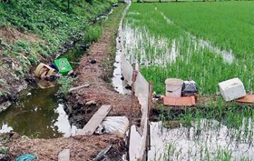 Phòng Cảnh sát Hình sự: Cảnh báo dùng bẫy điện diệt chuột – hành vi có thể cướp đi mạng sống và đối mặt tội giết người