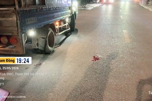 Thông tin về các vụ tai nạn giao thông liên quan đến người đi bộ trên địa bàn phường Nam Đồng