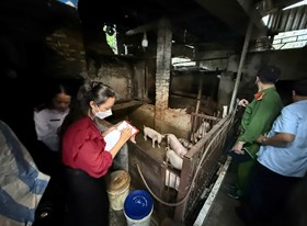 Công an phường Kiến An: Tăng cường kiểm tra, xử lý vi phạm trong hoạt động giết mổ, bảo đảm an ninh trật tự và an toàn thực phẩm