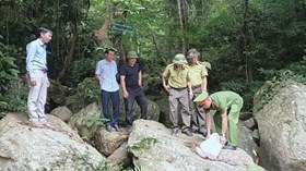 Công an phường Nguyễn Trãi phối hợp tổ chức thả 4 cá thể rùa Sa Nhân quý hiếm về môi trường tự nhiên