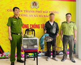 Công an xã Hà Bắc phát hiện, xử lý đối tượng bẫy chim hoang dã