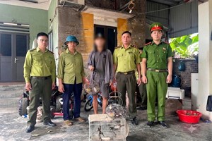 Công an xã Hà Nam phát hiện, xử lý trường hợp nuôi nhốt 08 cá thể chim hoang dã không rõ nguồn gốc