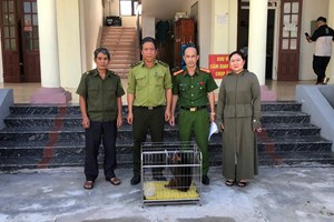 Công an xã Lai Khê tiếp nhận cá thể khỉ mặt đỏ do người dân tự nguyện giao nộp