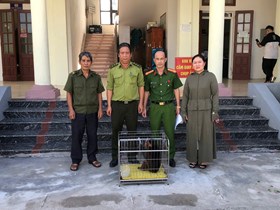 Công an xã Lai Khê tiếp nhận cá thể khỉ mặt đỏ do người dân tự nguyện giao nộp