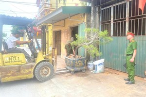 Công an xã Tân Kỳ tăng cường bảo đảm trật tự an toàn giao thông trên địa bàn