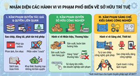 Phòng An ninh mạng và phòng chống tội phạm công nghệ cao: Khuyến cáo về hành vi vi phạm sở hữu trí tuệ 
