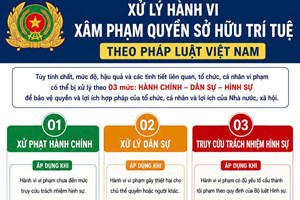 Phòng An ninh mạng và phòng, chống tội phạm sử dụng công nghệ cao: Cần chủ động nâng cao nhận thức pháp luật về sở hữu trí tuệ trên không gian mạng