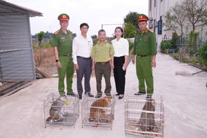 Công an phường Bắc An Phụ tiếp nhận 03 cá thể khỉ do người dân tự nguyện giao nộp