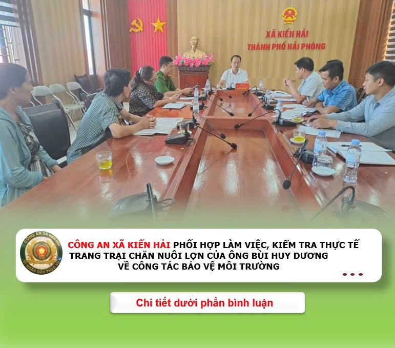 Công an xã Kiến Hải: Phối hợp kiểm tra, yêu cầu khắc phục ô nhiễm môi trường tại trang trại chăn nuôi lợn ở thôn Lão Phong