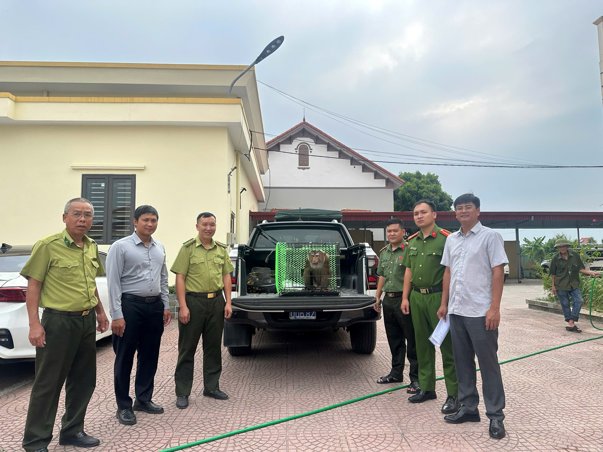 Công an xã Kiến Hải bàn giao 01 cá thể khỉ đuôi lợn quý hiếm về môi trường bảo tồn