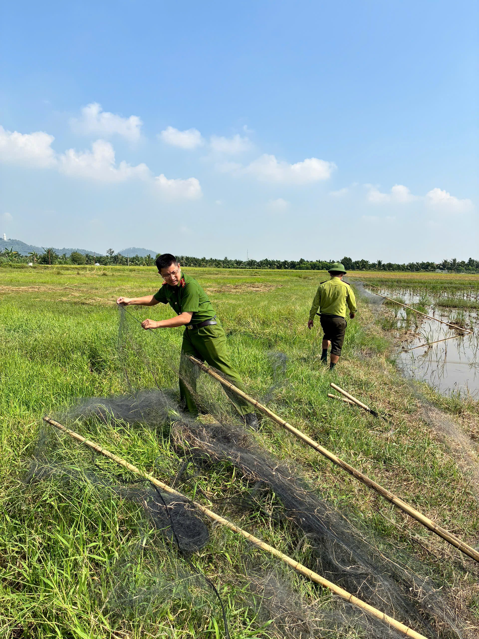 Công an xã Kiến Thụy: Tiêu hủy 1.500m lưới bẫy chim hoang dã trái phép