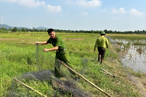 Công an xã Kiến Thụy: Tiêu hủy 1.500m lưới bẫy chim hoang dã trái phép