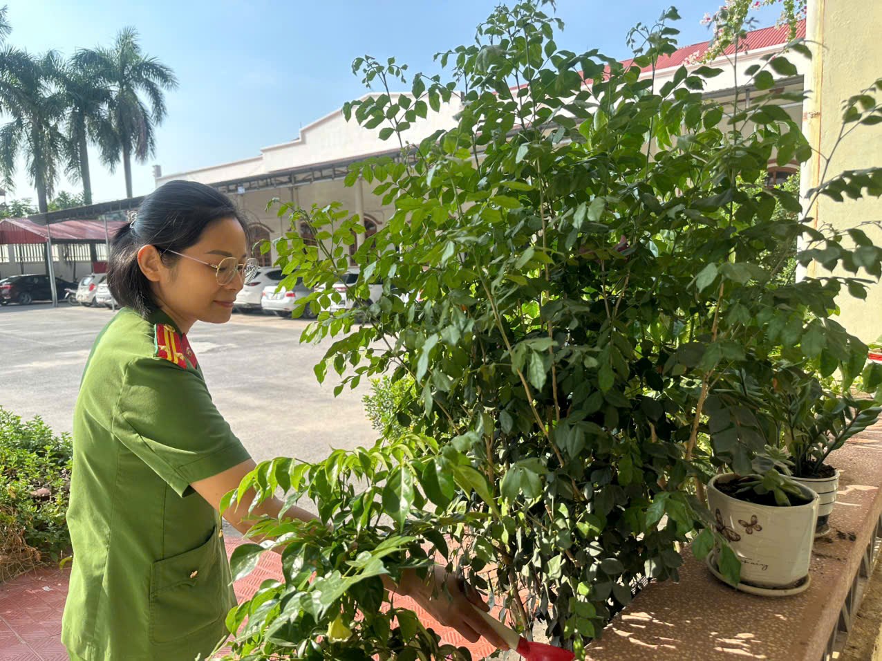 Công an xã Tuệ Tĩnh phát huy hiệu quả phong trào “Hành lang xanh”