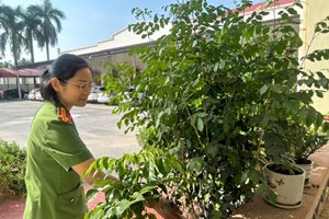 Công an xã Tuệ Tĩnh phát huy hiệu quả phong trào “Hành lang xanh”