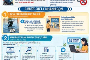 Phòng Cảnh sát giao thông: Hướng dẫn về việc xử lý trường hợp mất hoặc mờ biển số xe để không vi phạm pháp luật