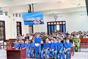 Tuyên án sơ thẩm đối với 17 bị cáo trong vụ án sử dụng hơn 197 tấn thịt lợn nhiễm dịch tả lợn châu Phi tại Công ty CP Đồ hộp Hạ Long
